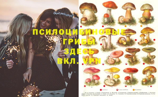 не бодяженный Лиски