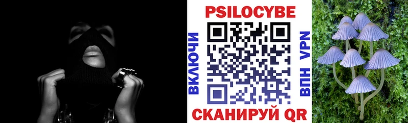 Псилоцибиновые грибы Cubensis  Новый Уренгой 