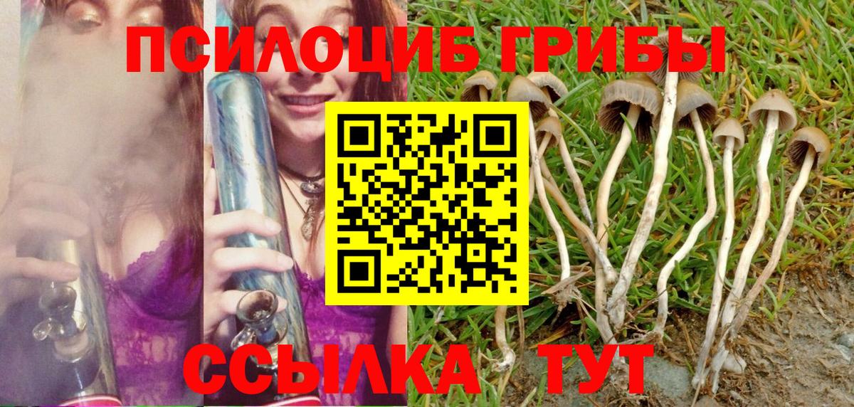 Новый Уренгой  наркошоп  Вход с VPN  Галлюциногенные грибы Psilocybine cubensis 